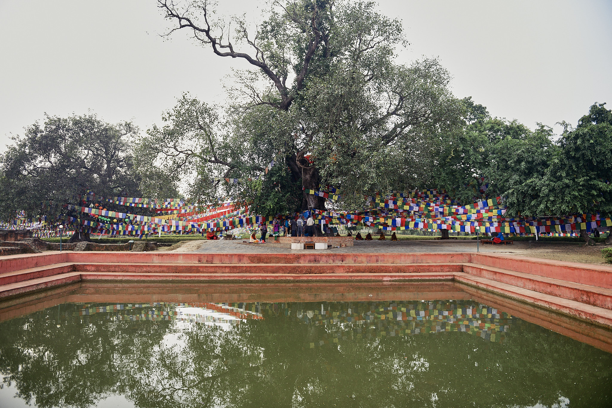 20140111 022 룸비니(부처 탄생지)